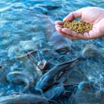 What is the cost of fumaric acid?