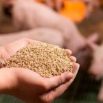 What changes to fumaric acid by fumarase?