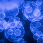 How Fumaric Acid Derivatives Work at the Cellular Level