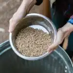 A Study on Efficacy of Fumaric Acid Supplementation in Diet of Broiler Chicken