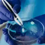 How to dissolve fumaric acid?